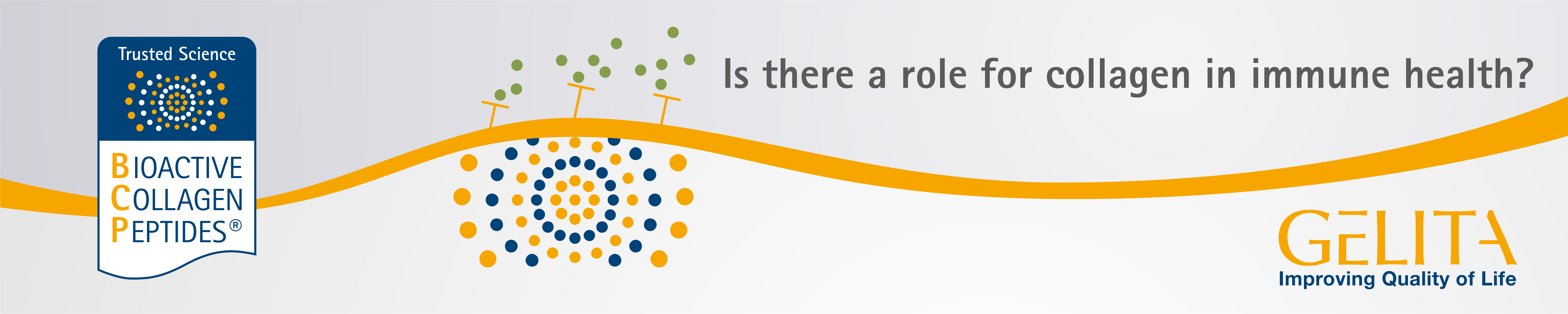 The role for specific collagen peptides in immune health
Understand the latest study findings 